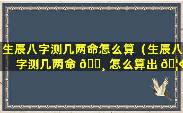 生辰八字测几两命怎么算（生辰八字测几两命 🌸 怎么算出 🦢 来的）